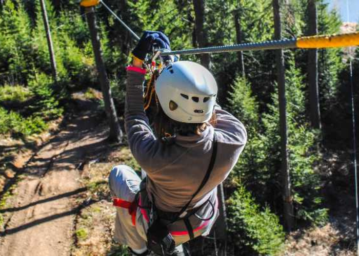 Activity bookings