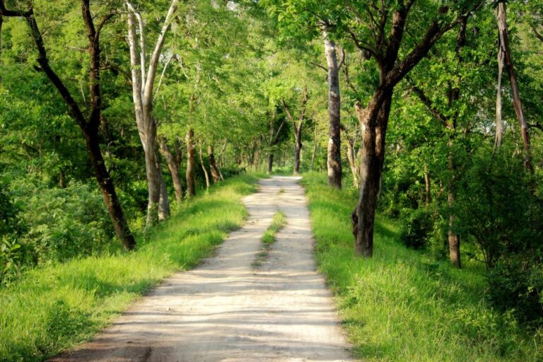 Kaziranga – Shillong – Cherrapunjee – Guwahati