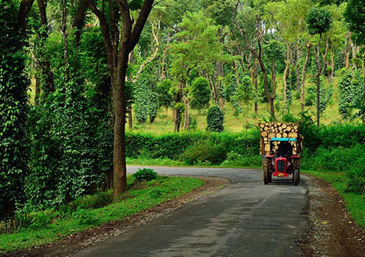 Coorg – Mysore