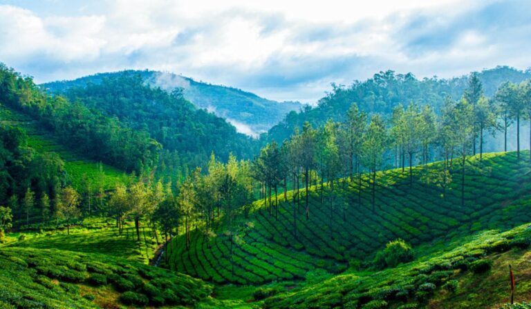 Munnar – Thekkady