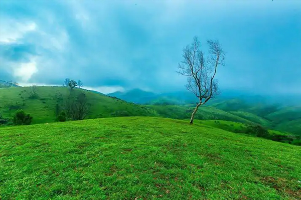 Vagamon – Cochin