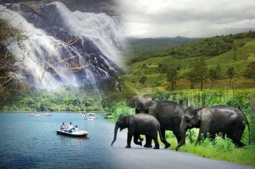 Wayanad – Coorg