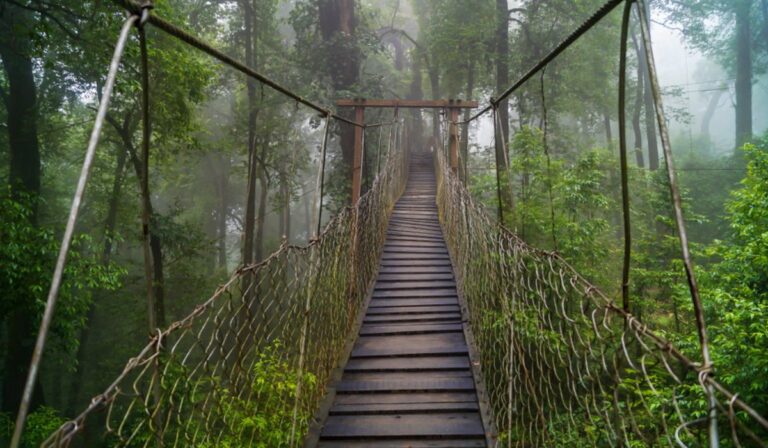 Darjeeling – Gangtok – Kalimpong