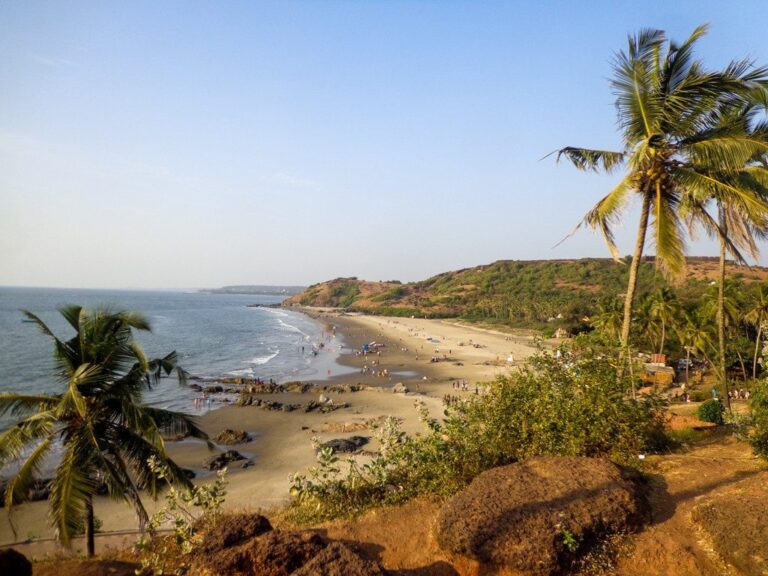 Party Town – Goa